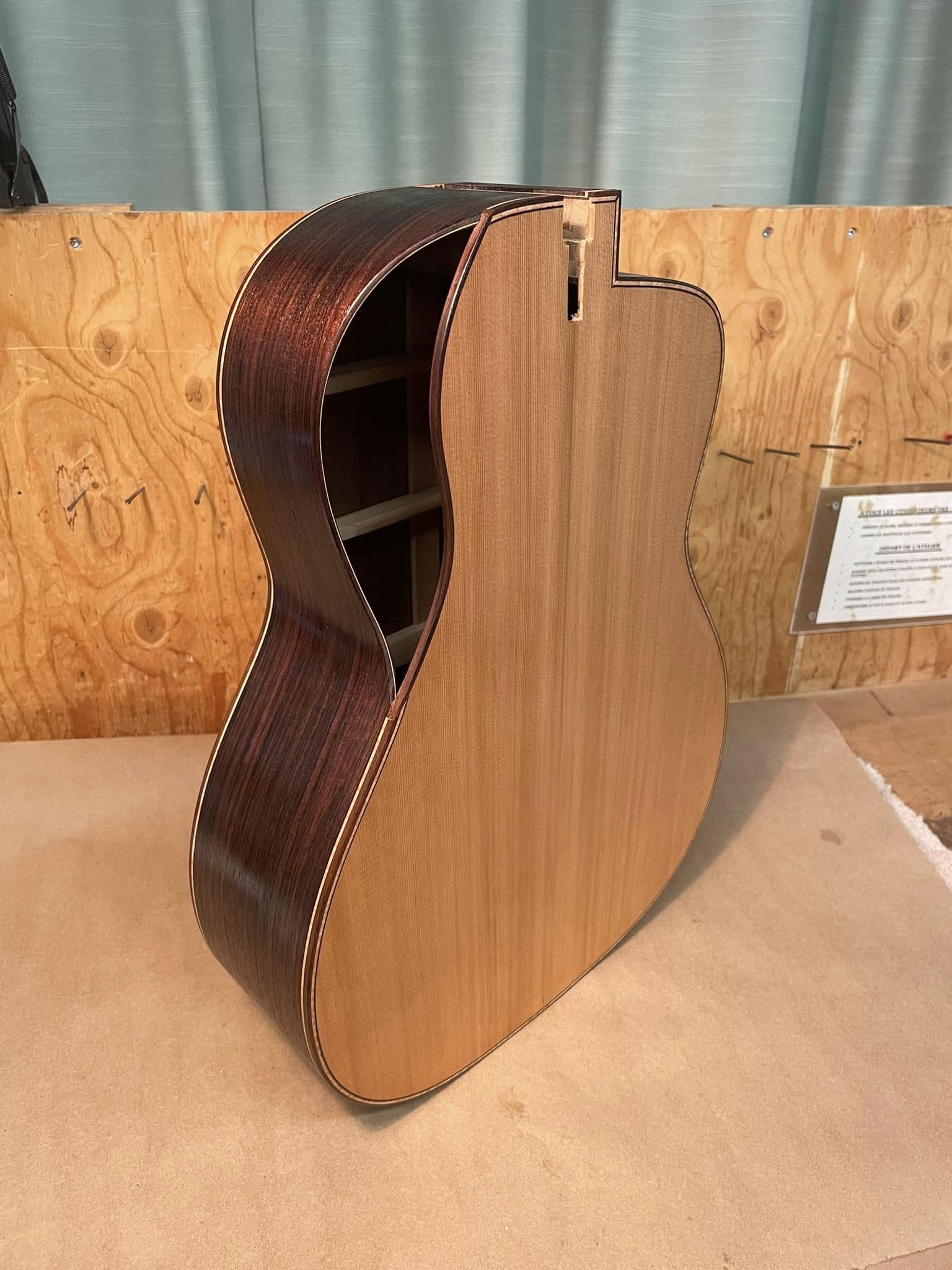 435066001_122137711502198131_2286061959254732139_n